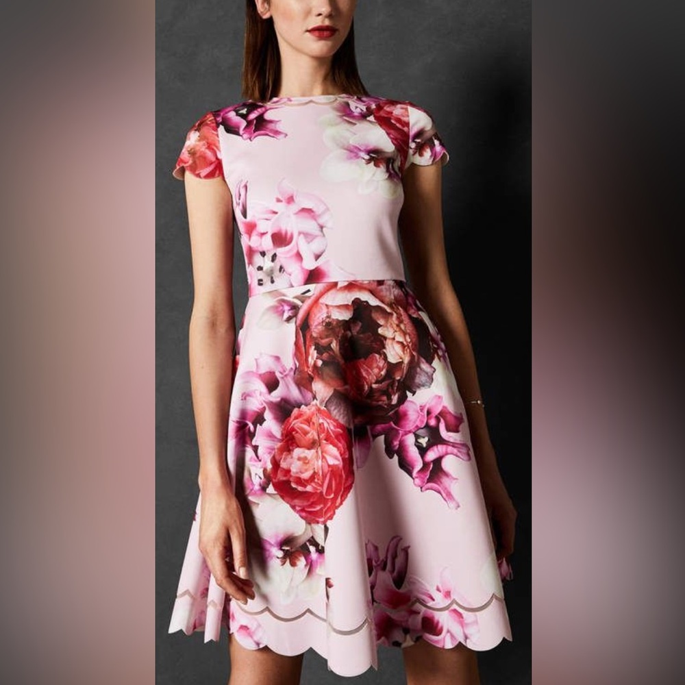 Skater Dress by Ted Baker Sz 1
